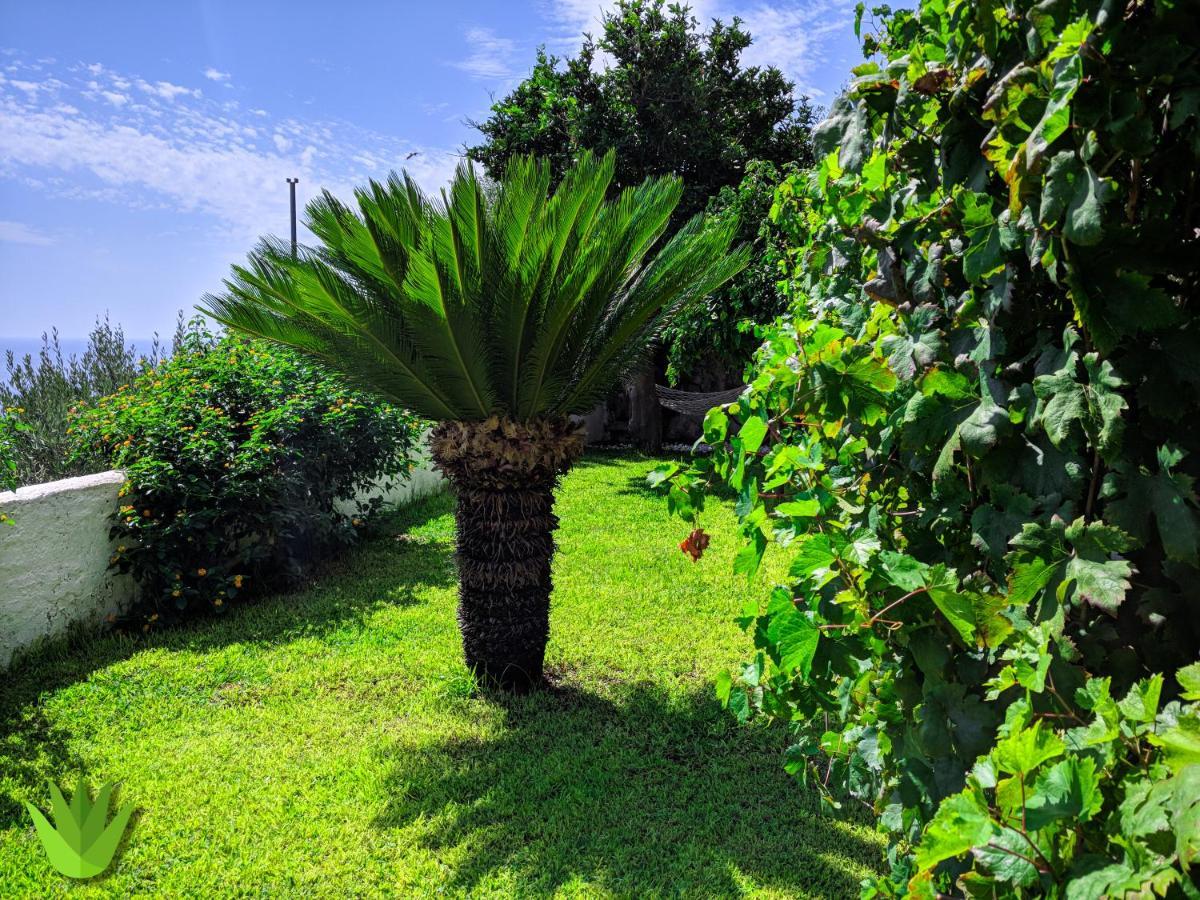 Vietri Villa Delle Agavi מראה חיצוני תמונה