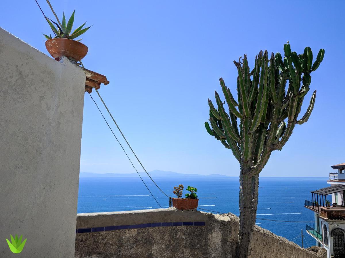 Vietri Villa Delle Agavi מראה חיצוני תמונה